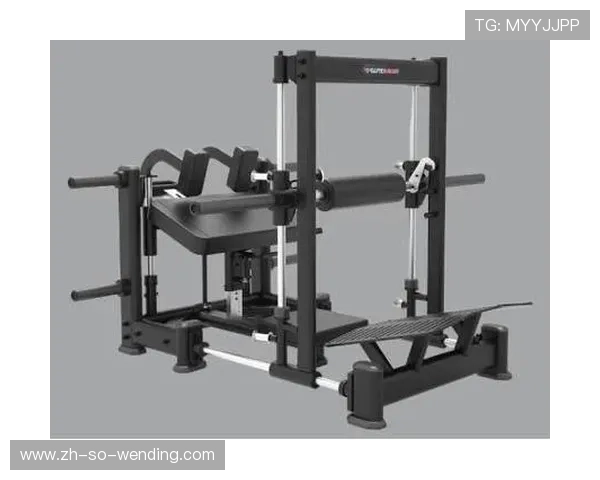 最贵的健身器材：奢华与高端产品分析