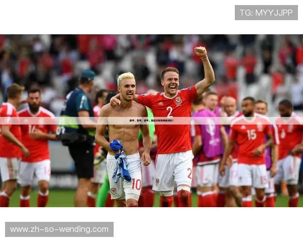 深度解析德甲球队的战术布局与技战术特色