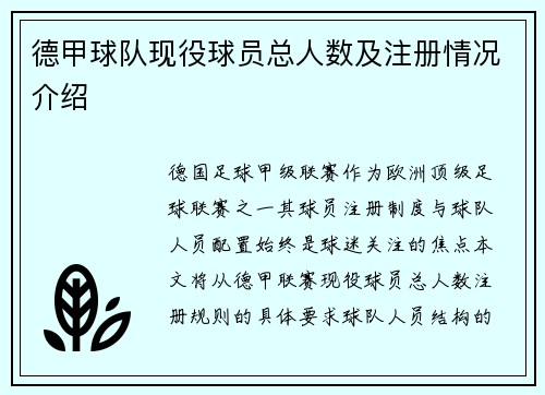 德甲球队现役球员总人数及注册情况介绍